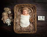 1108davidmoorephotography4.jpg