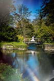 davidmoorephotography170420219.jpg