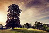 davidmoorephoography38.jpg