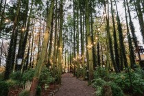 davidmoorephotographertrimcomeath597.jpg
